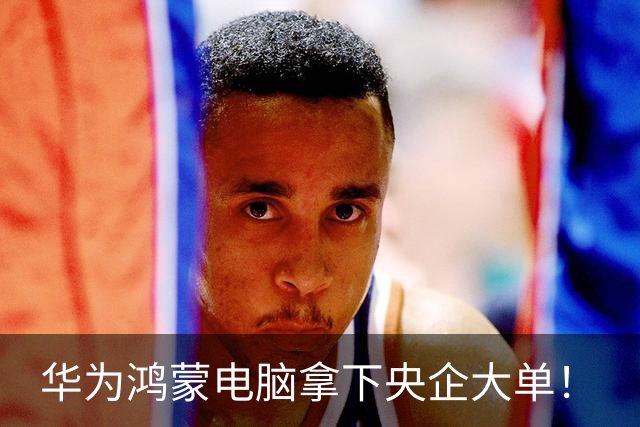 华为鸿蒙电脑拿下央企大单！